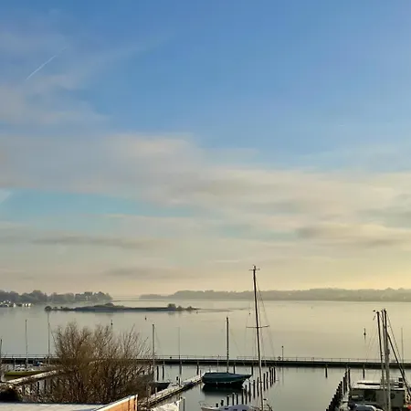 Schlei Moewe Mit Freiem Blick Auf Schlei * 슐레스비히